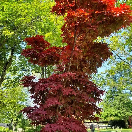 Semesterbostad Domaine De L'ermitage *