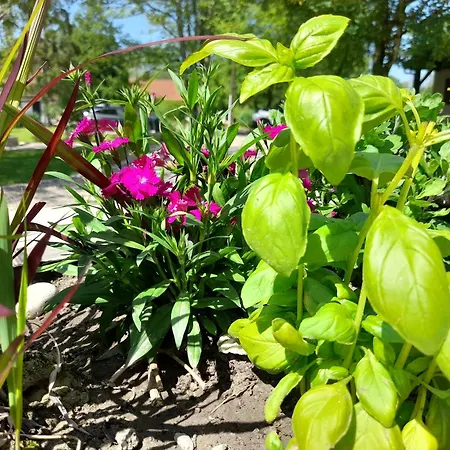 Domaine De L'ermitage Semesterbostad Rue (Somme)