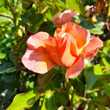 Domaine De L'ermitage *