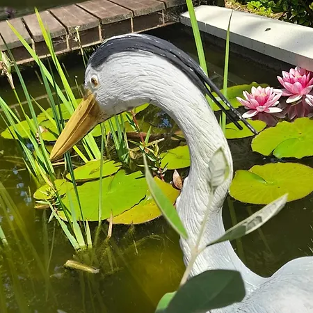 Domaine De L'ermitage Semesterbostad Rue (Somme)