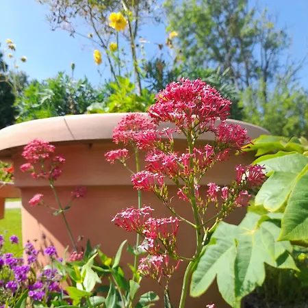 Domaine De L'ermitage Rue (Somme)