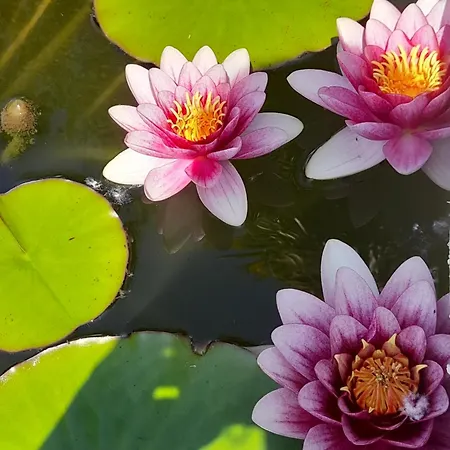 Domaine De L'ermitage *