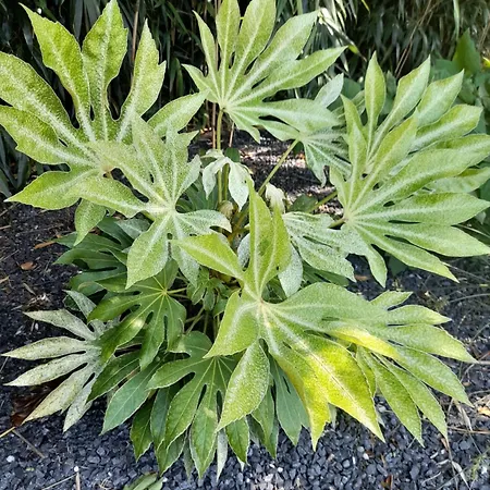 Domaine De L'ermitage *