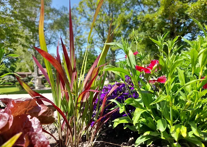 Domaine De L'ermitage Hébergement de vacances