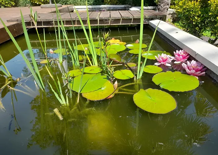 Domaine De L'ermitage Hébergement de vacances *