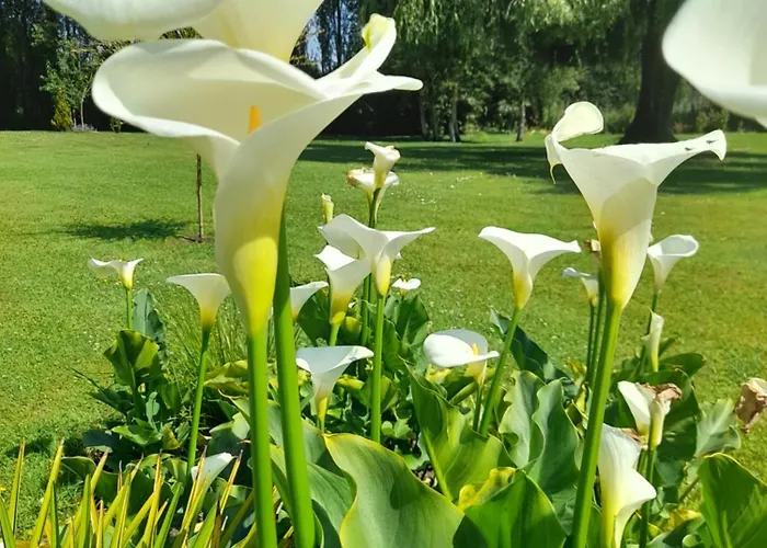 Domaine De L'ermitage Hébergement de vacances Rue (Somme)