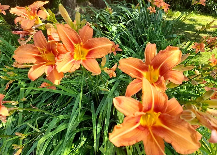 Domaine De L'ermitage Hébergement de vacances *