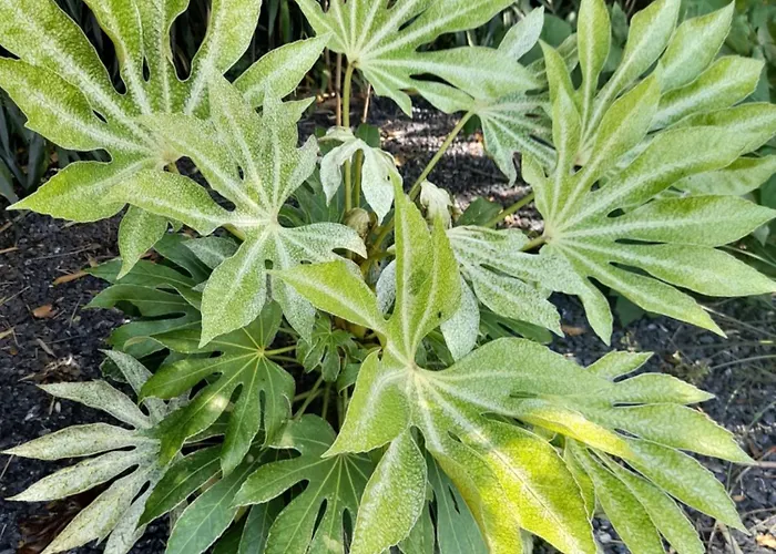 Domaine De L'ermitage *