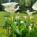 Domaine De L'ermitage Holiday home Rue (Somme)