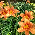 Domaine De L'ermitage Holiday home *