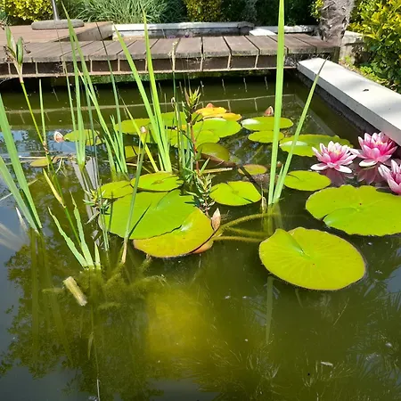 Domaine De L'ermitage Hébergement de vacances *