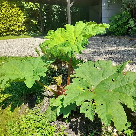 Domaine De L'ermitage Hébergement de vacances