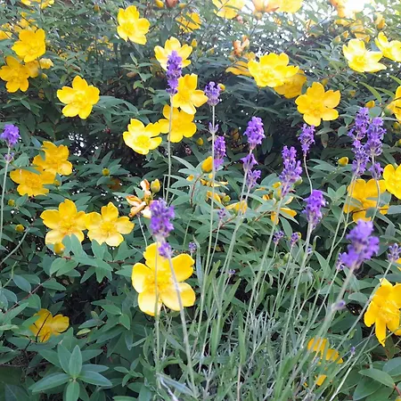 Domaine De L'ermitage *