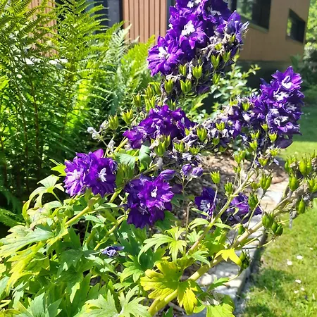 Domaine De L'ermitage * Rue (Somme)