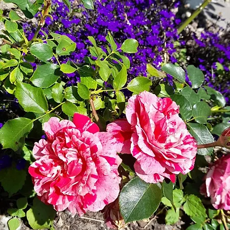 Domaine De L'ermitage